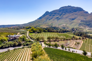 Stellenbosch