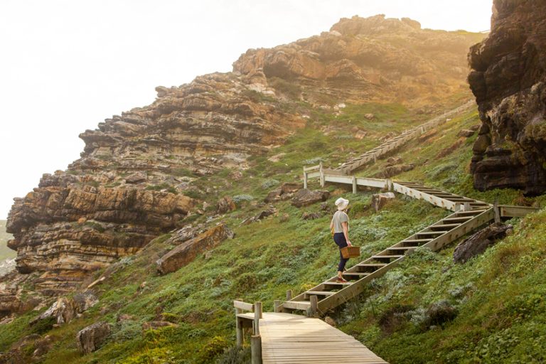 Cape Point Nature Reserve